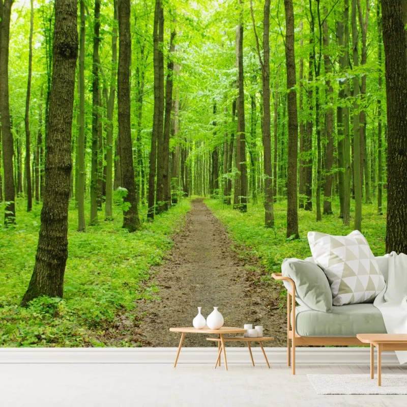 Fototapeta spokojna zielona ścieżka w lesie – Wallissimo® Fototapeta spokojna zielona ścieżka w lesie – Wallissimo®