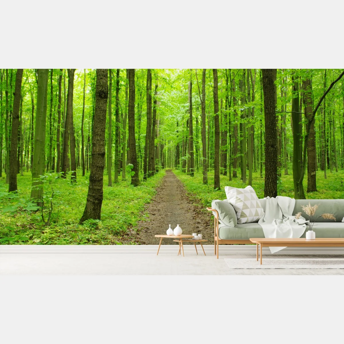 Fototapeta spokojna zielona ścieżka w lesie – Wallissimo® Fototapeta spokojna zielona ścieżka w lesie – Wallissimo®