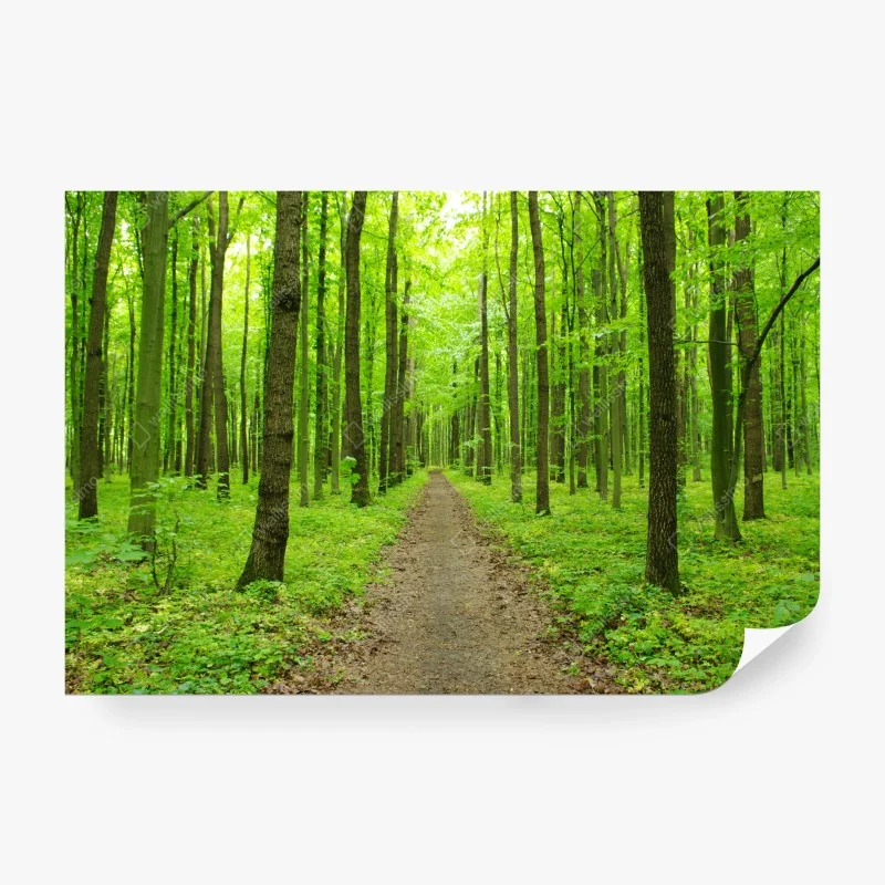 Fototapeta zachód słońca nad Monument Valley z Hunts Mesa – Wallissimo®