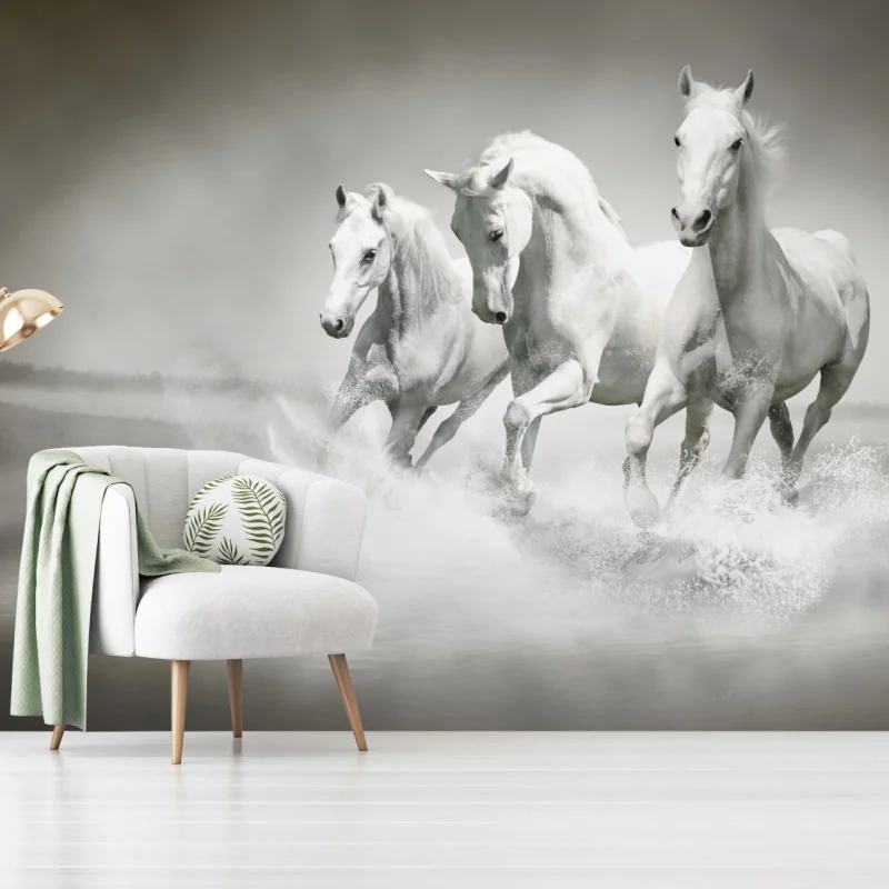 Fototapeta trzy białe konie galopujące przez wodę – Wallissimo®