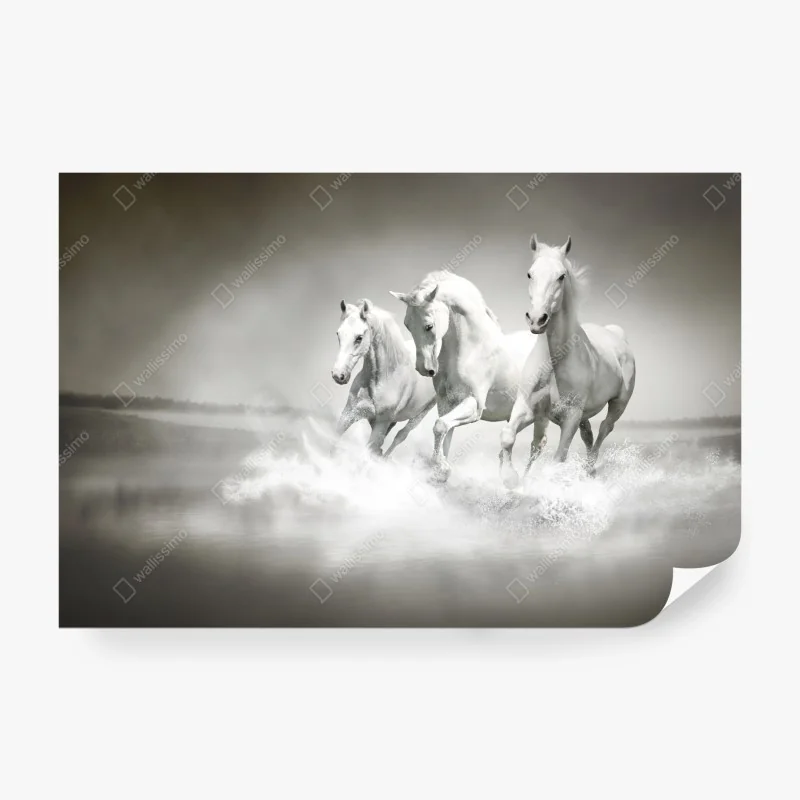 Fototapeta bujna mglista leśna ścieżka – Wallissimo®