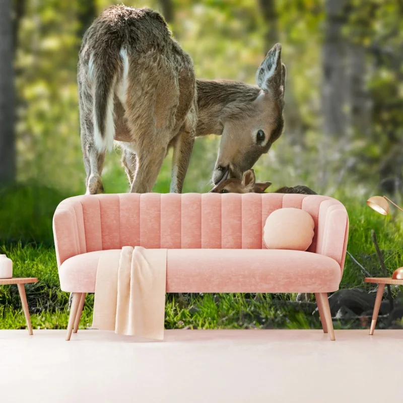 Fototapeta jeleń z cielakiem w zielonym lesie – Wallissimo® Fototapeta jeleń z cielakiem w zielonym lesie – Wallissimo®