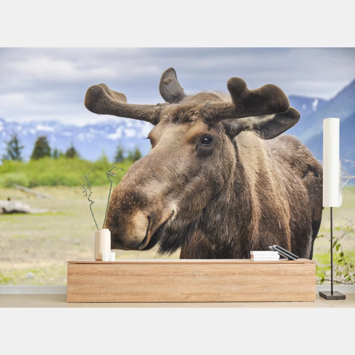 Fototapeta portret łosia na tle gór – Wallissimo® Fototapeta portret łosia na tle gór – Wallissimo®