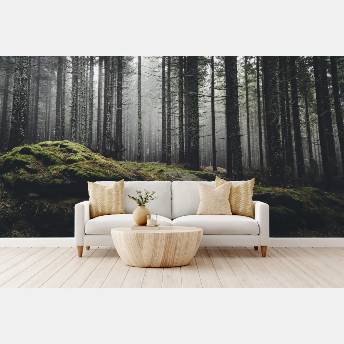 Fototapeta mglisty las porośnięty mchem – Wallissimo® Fototapeta mglisty las porośnięty mchem – Wallissimo®