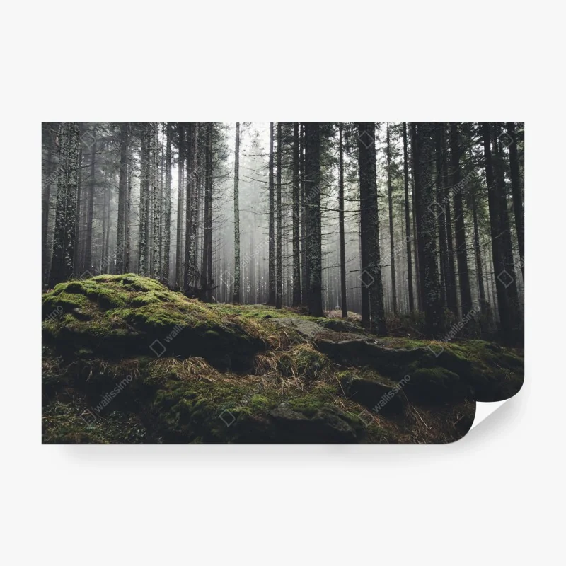 Fototapeta tropikalny geometryczny wzór ptaków – Wallissimo®