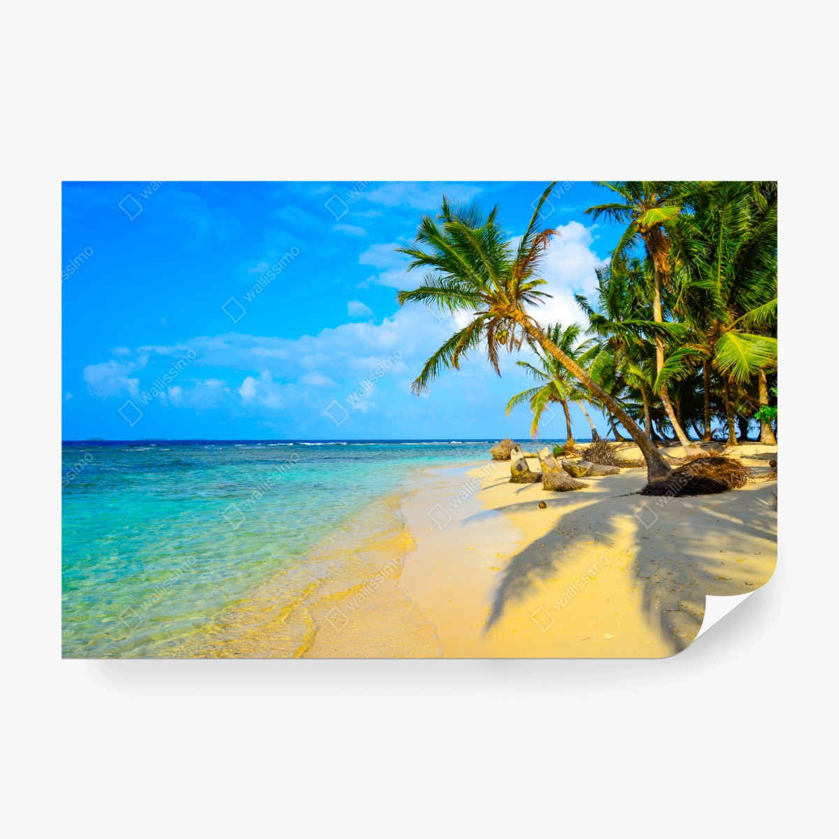 Fototapeta tropikalna turkusowa plaża – Wallissimo® Fototapeta tropikalna turkusowa plaża – Wallissimo®