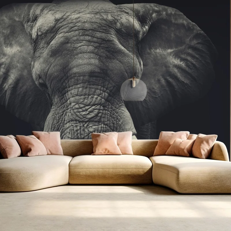 Fototapeta dostojny portret słonia w monochromie – Wallissimo® Fototapeta dostojny portret słonia w monochromie – Wallissimo®