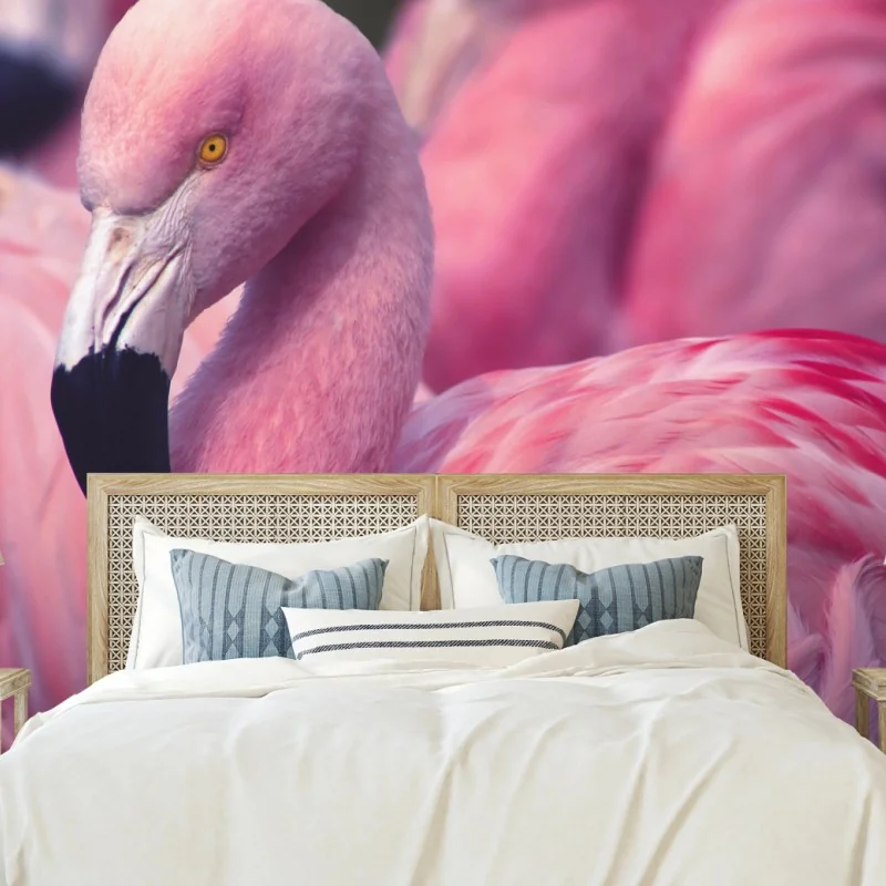 Fototapeta różowy portret flaminga – Wallissimo® Fototapeta różowy portret flaminga – Wallissimo®