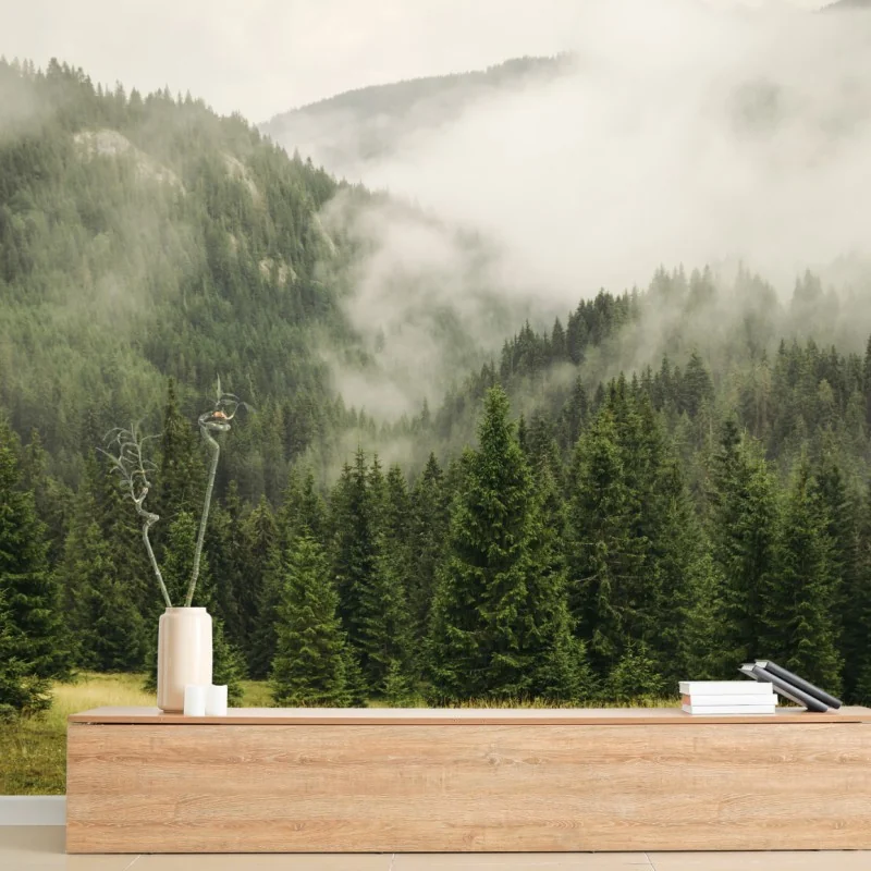 Fototapeta mglisty las iglasty – Wallissimo® Fototapeta mglisty las iglasty – Wallissimo®