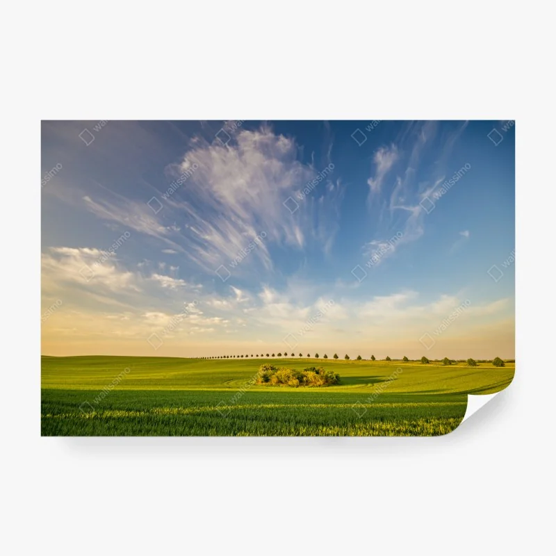 Fototapeta poranek nad jeziorem Bachalp, Alpy Szwajcarskie – Wallissimo®