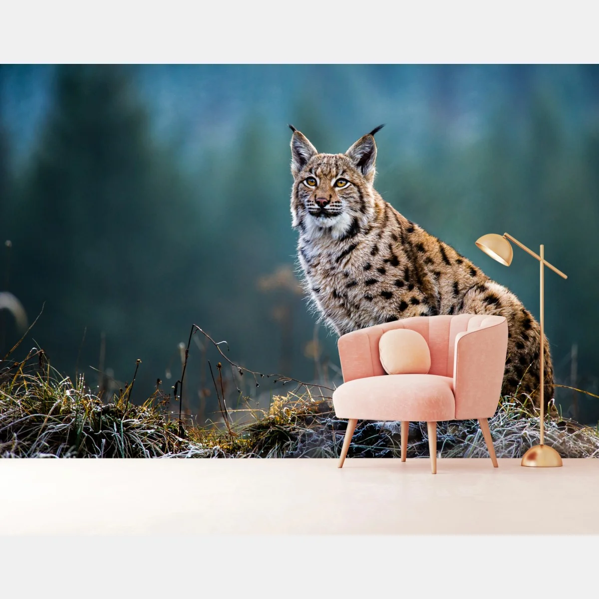 Fototapeta majestatyczny ryś w naturalnym środowisku – Wallissimo® Fototapeta majestatyczny ryś w naturalnym środowisku – Wallissimo®