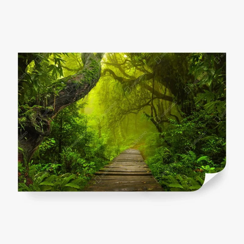 Fototapeta zabawna mapa świata ze zwierzętami – Wallissimo®