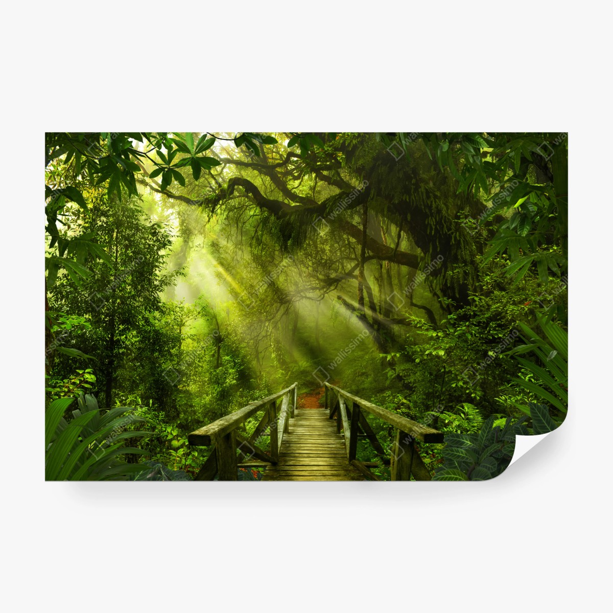 Fototapeta słoneczna leśna ścieżka – Wallissimo® Fototapeta słoneczna leśna ścieżka – Wallissimo®