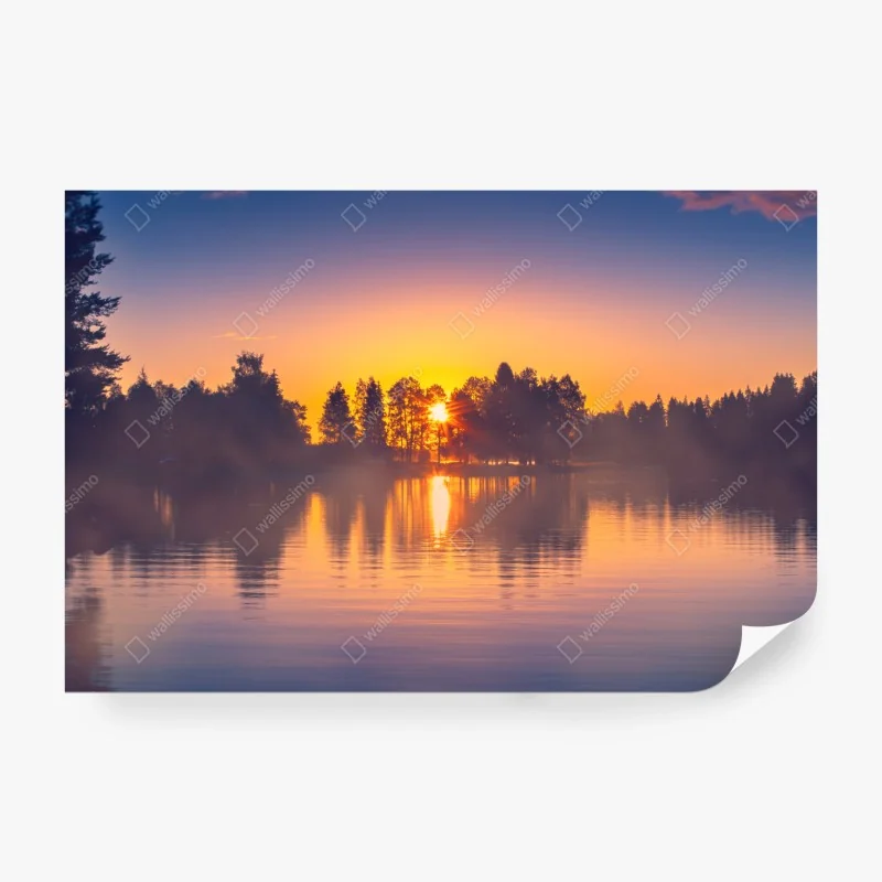 Fototapeta intensywna czerwona ilustracja maków – Wallissimo®