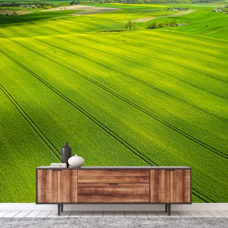 Fototapeta złote pola rzepaku z lotu ptaka – Wallissimo® Fototapeta złote pola rzepaku z lotu ptaka – Wallissimo®