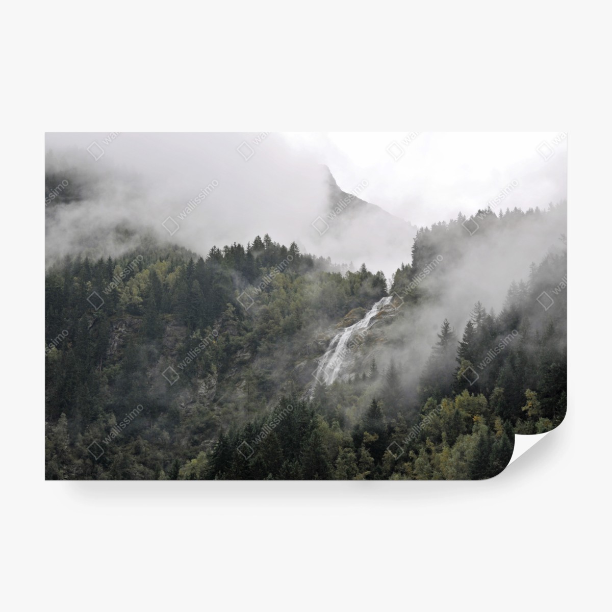 Fototapeta mglisty wodospad w górskim lesie – Wallissimo® Fototapeta mglisty wodospad w górskim lesie – Wallissimo®