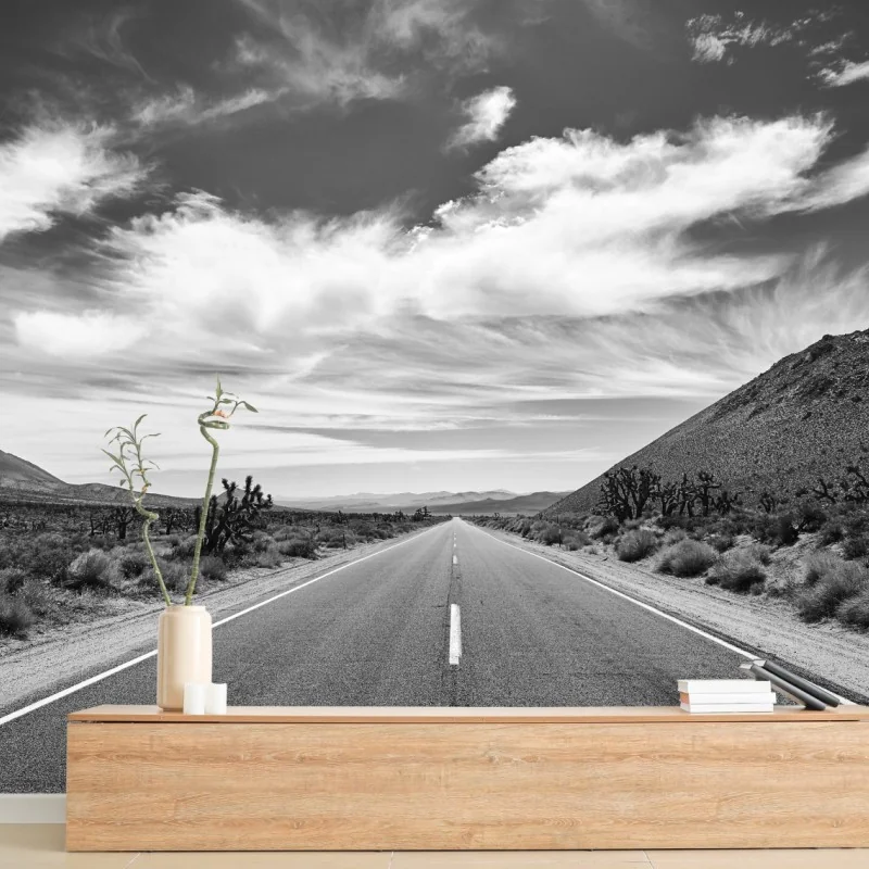 Fototapeta Dolina Śmierci otwarta droga w czerni i bieli – Wallissimo® Fototapeta Dolina Śmierci otwarta droga w czerni i bieli – Wallissimo®