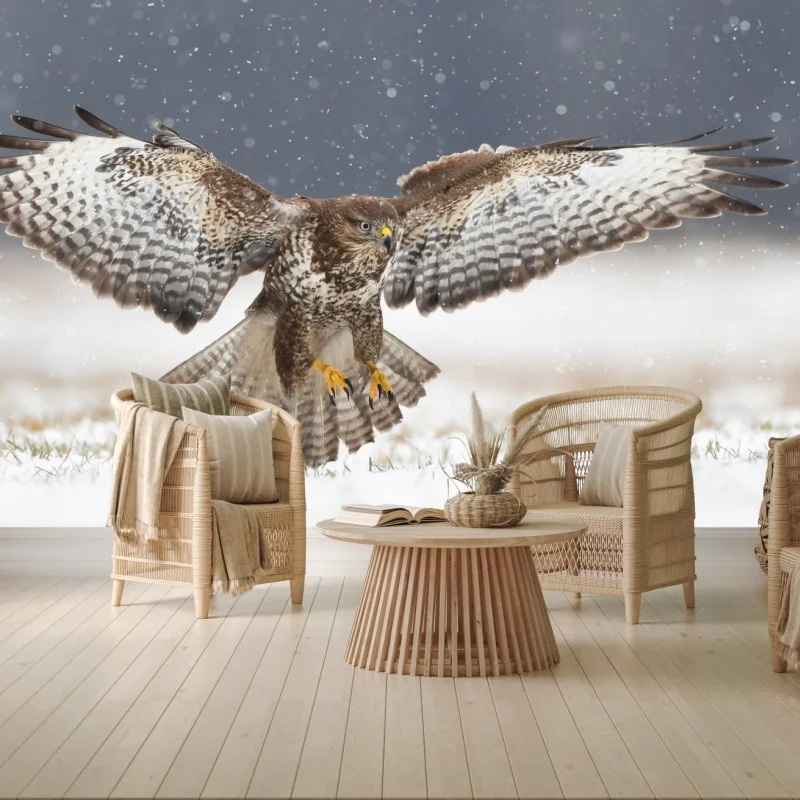 Fototapeta myszołów lądujący na śniegu – Wallissimo® Fototapeta myszołów lądujący na śniegu – Wallissimo®