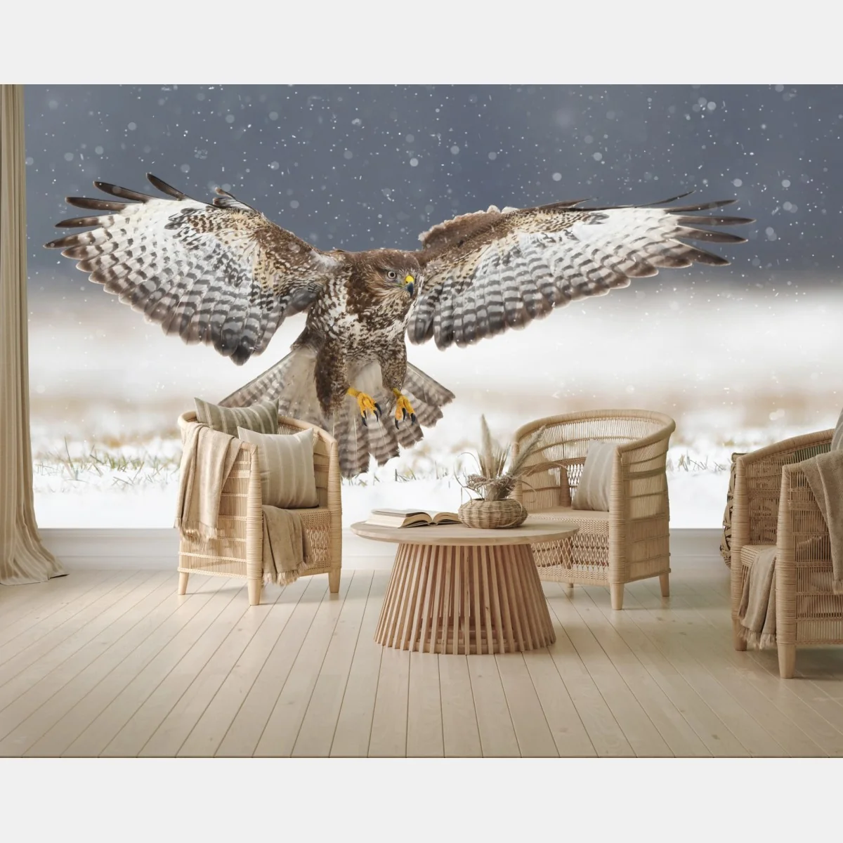 Fototapeta myszołów lądujący na śniegu – Wallissimo® Fototapeta myszołów lądujący na śniegu – Wallissimo®