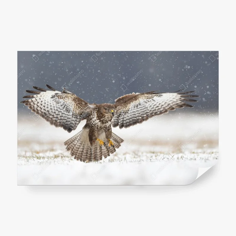 Fototapeta uspokajający wodospad w szmaragdowym lesie – Wallissimo®