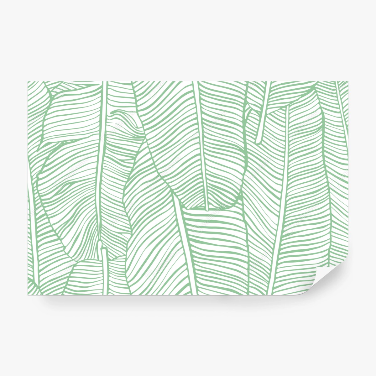 Fototapeta miętowy wzór liści bananowca – Wallissimo® Fototapeta miętowy wzór liści bananowca – Wallissimo®