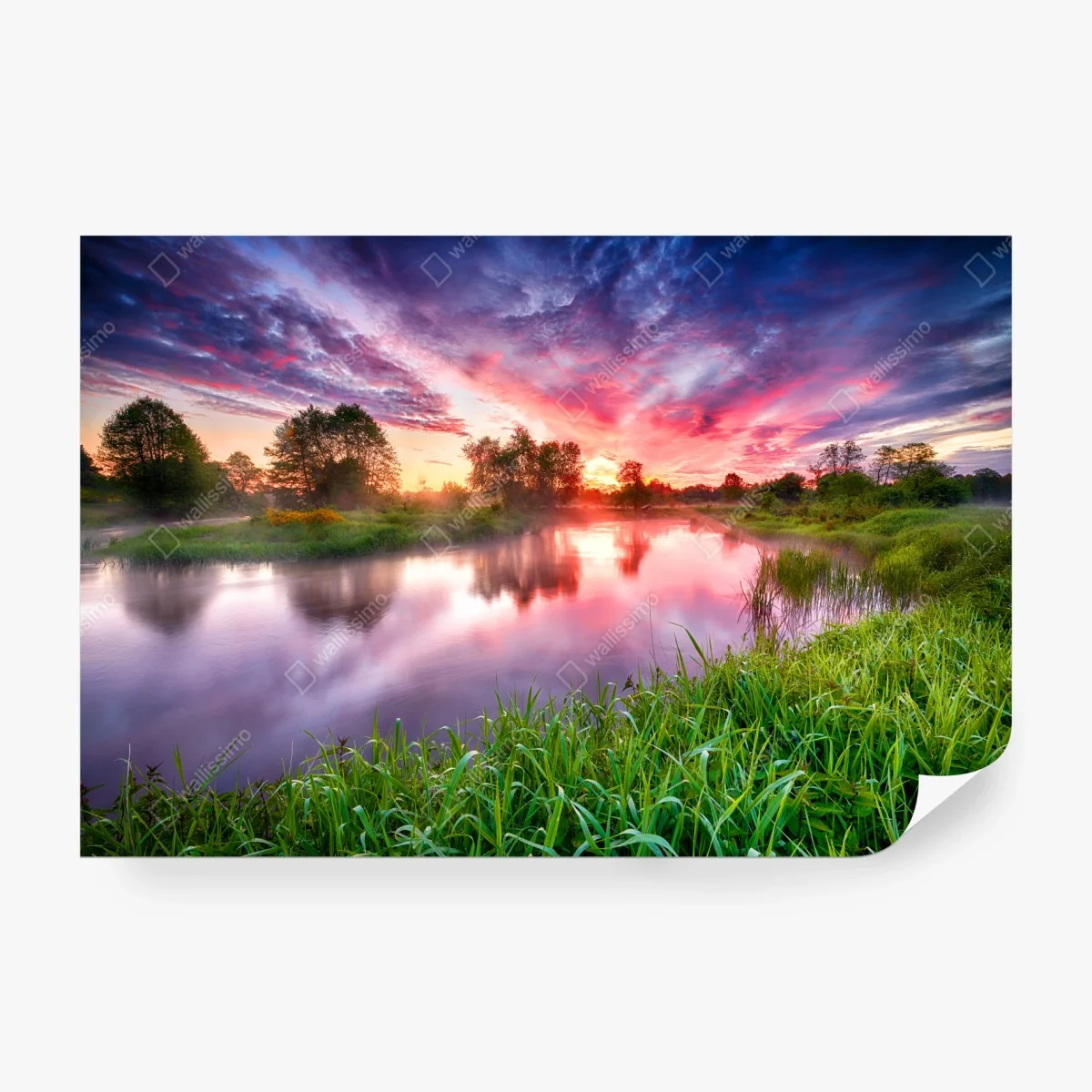 Fototapeta spokojny letni wschód słońca nad brzegiem rzeki – Wallissimo® Fototapeta spokojny letni wschód słońca nad brzegiem rzeki – Wallissimo®