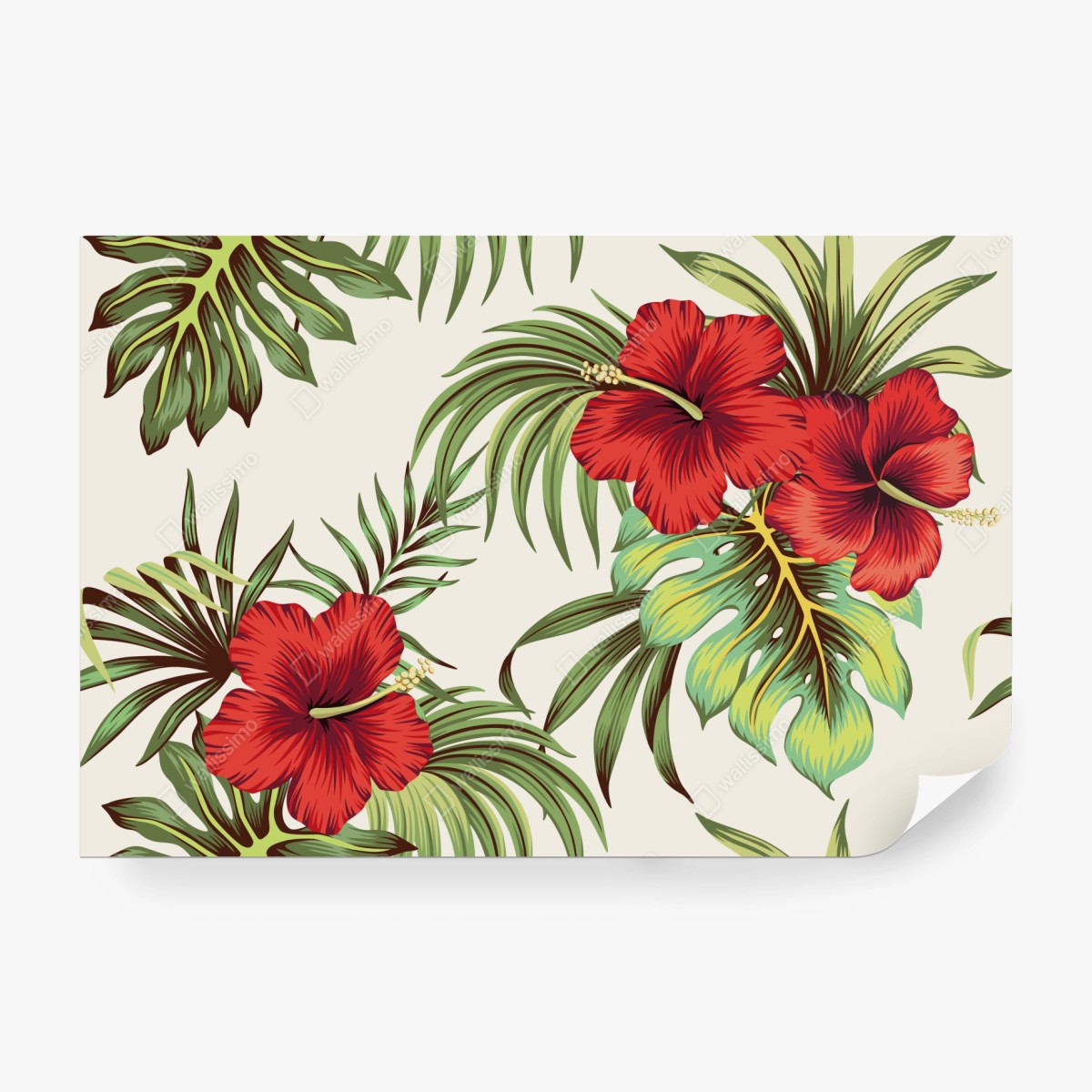Fototapeta tropikalny motyw hibiskusa – Wallissimo® Fototapeta tropikalny motyw hibiskusa – Wallissimo®