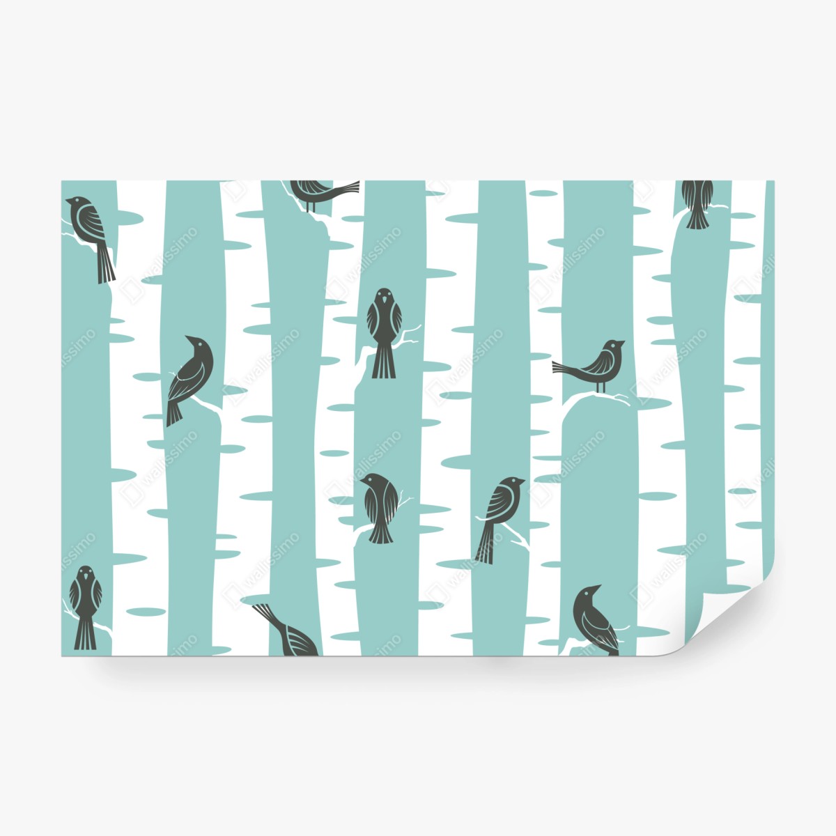 Fototapeta turkusowy las brzóz z ptakami – Wallissimo® Fototapeta turkusowy las brzóz z ptakami – Wallissimo®