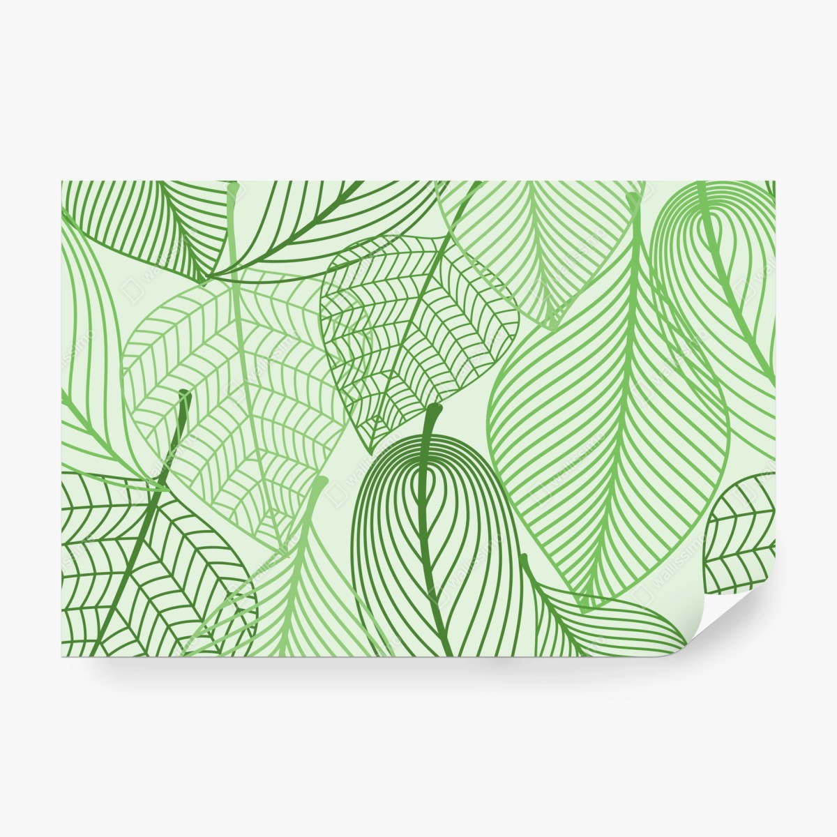 Fototapeta zielony botaniczny wzór liści – Wallissimo® Fototapeta zielony botaniczny wzór liści – Wallissimo®