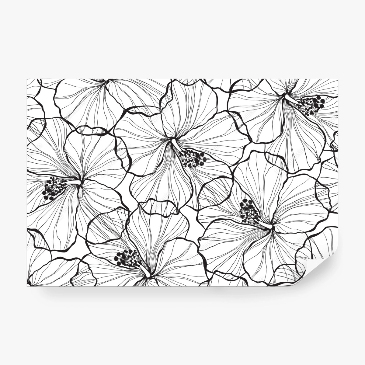 Fototapeta czarno-biały hibiskus w stylu line art – Wallissimo® Fototapeta czarno-biały hibiskus w stylu line art – Wallissimo®