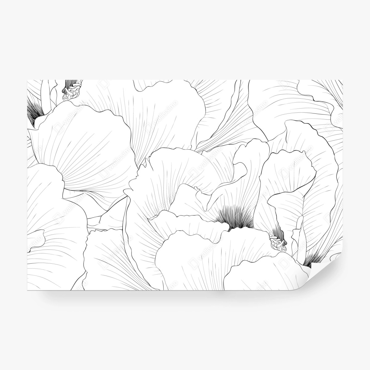 Fototapeta delikatny botaniczny rysunek kwiatowy – Wallissimo® Fototapeta delikatny botaniczny rysunek kwiatowy – Wallissimo®