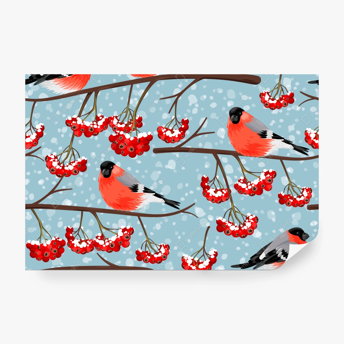 Fototapeta zimowe gile i jarzębina - wzór – Wallissimo® Fototapeta zimowe gile i jarzębina - wzór – Wallissimo®