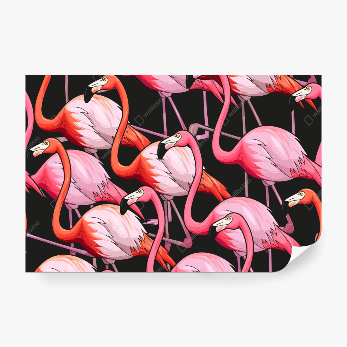 Fototapeta różowy wzór z flamingami na czarnym tle – Wallissimo® Fototapeta różowy wzór z flamingami na czarnym tle – Wallissimo®