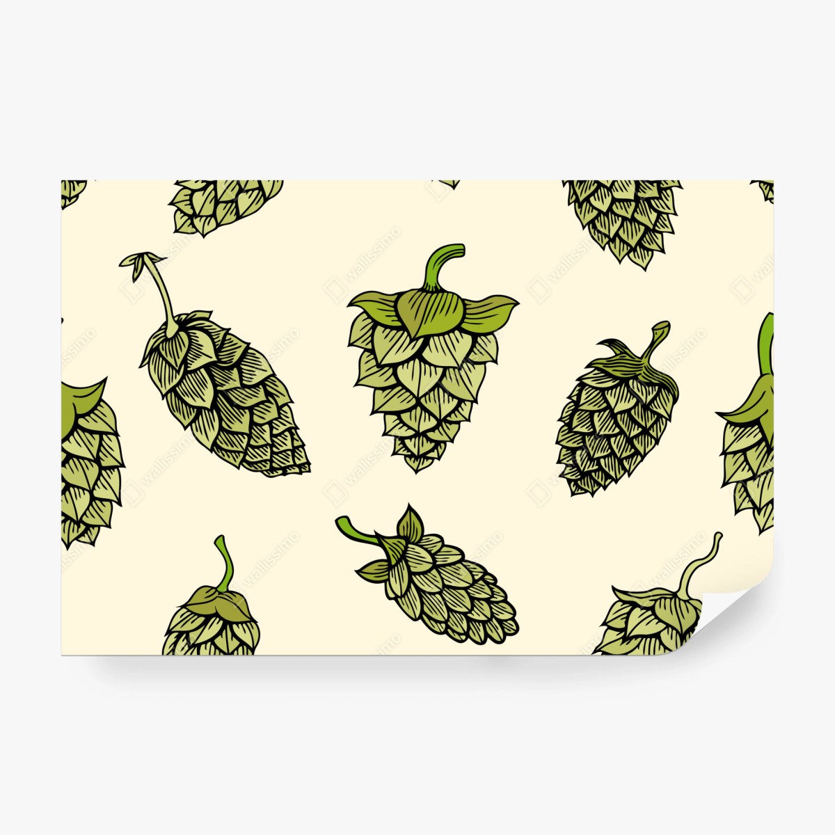 Fototapeta ręcznie rysowany wzór chmielu – Wallissimo® Fototapeta ręcznie rysowany wzór chmielu – Wallissimo®