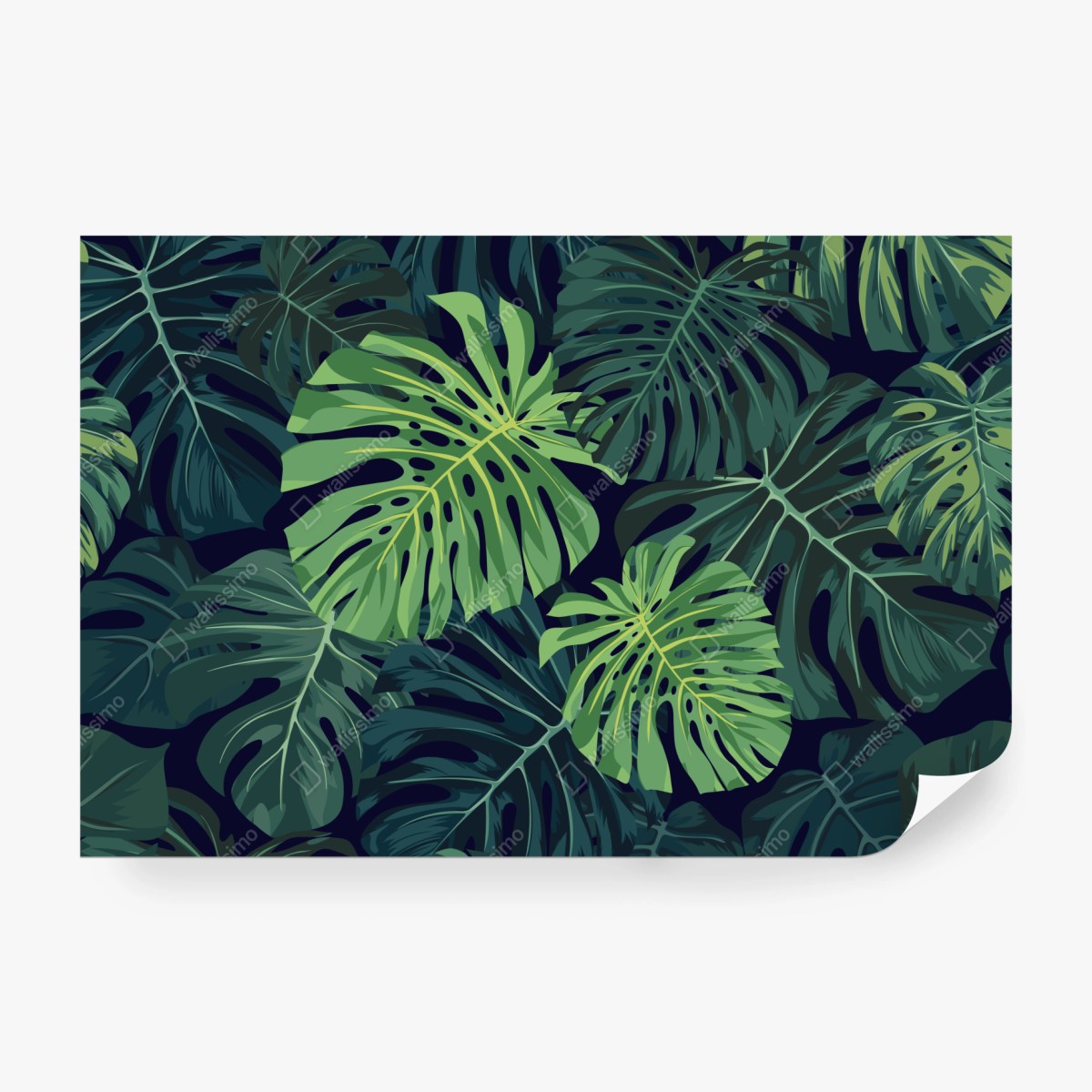 Fototapeta wzór z tropikalnymi liśćmi monstera – Wallissimo® Fototapeta wzór z tropikalnymi liśćmi monstera – Wallissimo®