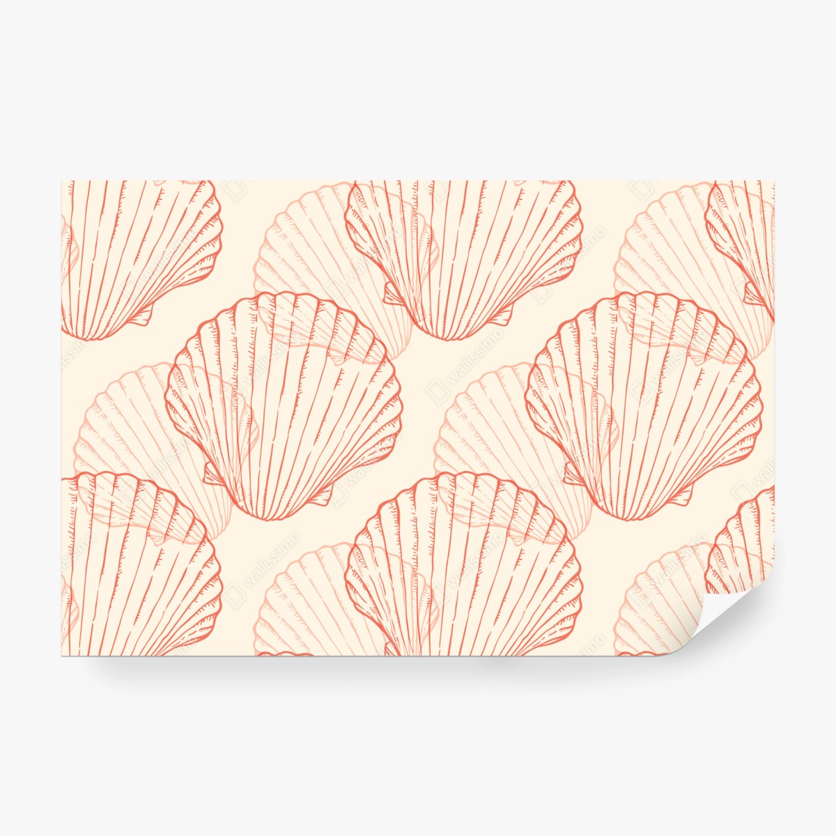 Fototapeta koralowy wzór muszli przegrzebek – Wallissimo® Fototapeta koralowy wzór muszli przegrzebek – Wallissimo®