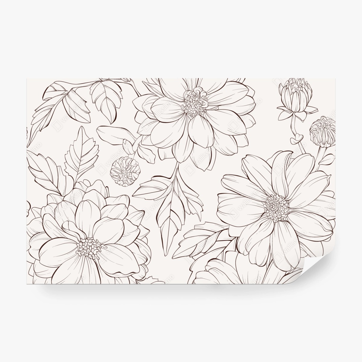 Fototapeta delikatny botaniczny rysunek kwiatowy – Wallissimo® Fototapeta delikatny botaniczny rysunek kwiatowy – Wallissimo®