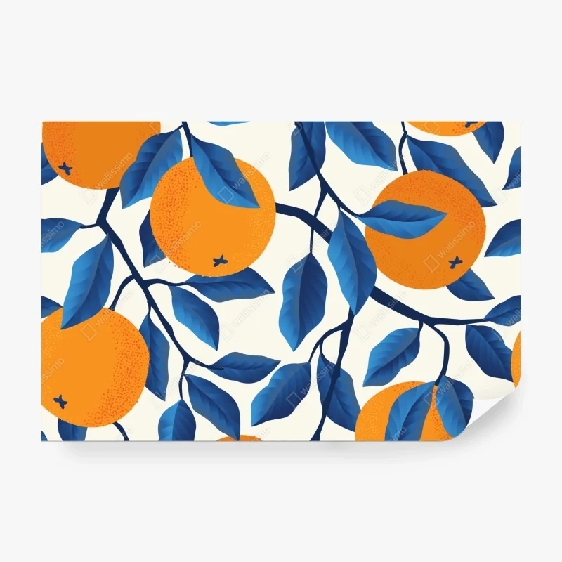 Fototapeta zorza nad Vestrahornem, Stokksnes – Wallissimo®