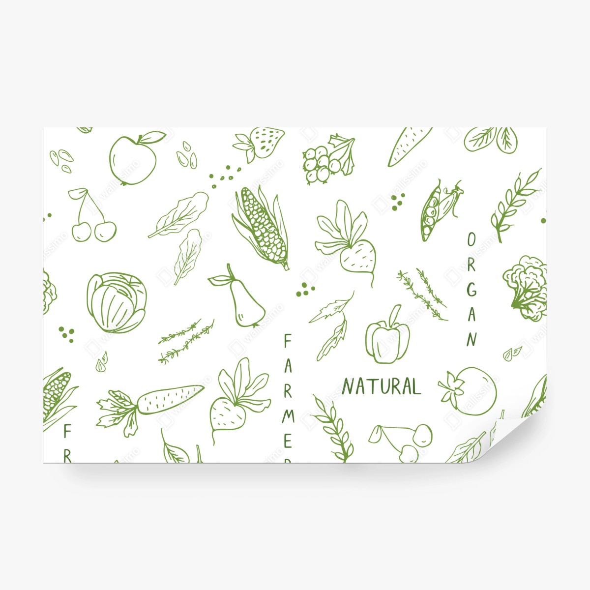 Fototapeta ręcznie rysowany wzór warzyw i owoców – Wallissimo® Fototapeta ręcznie rysowany wzór warzyw i owoców – Wallissimo®