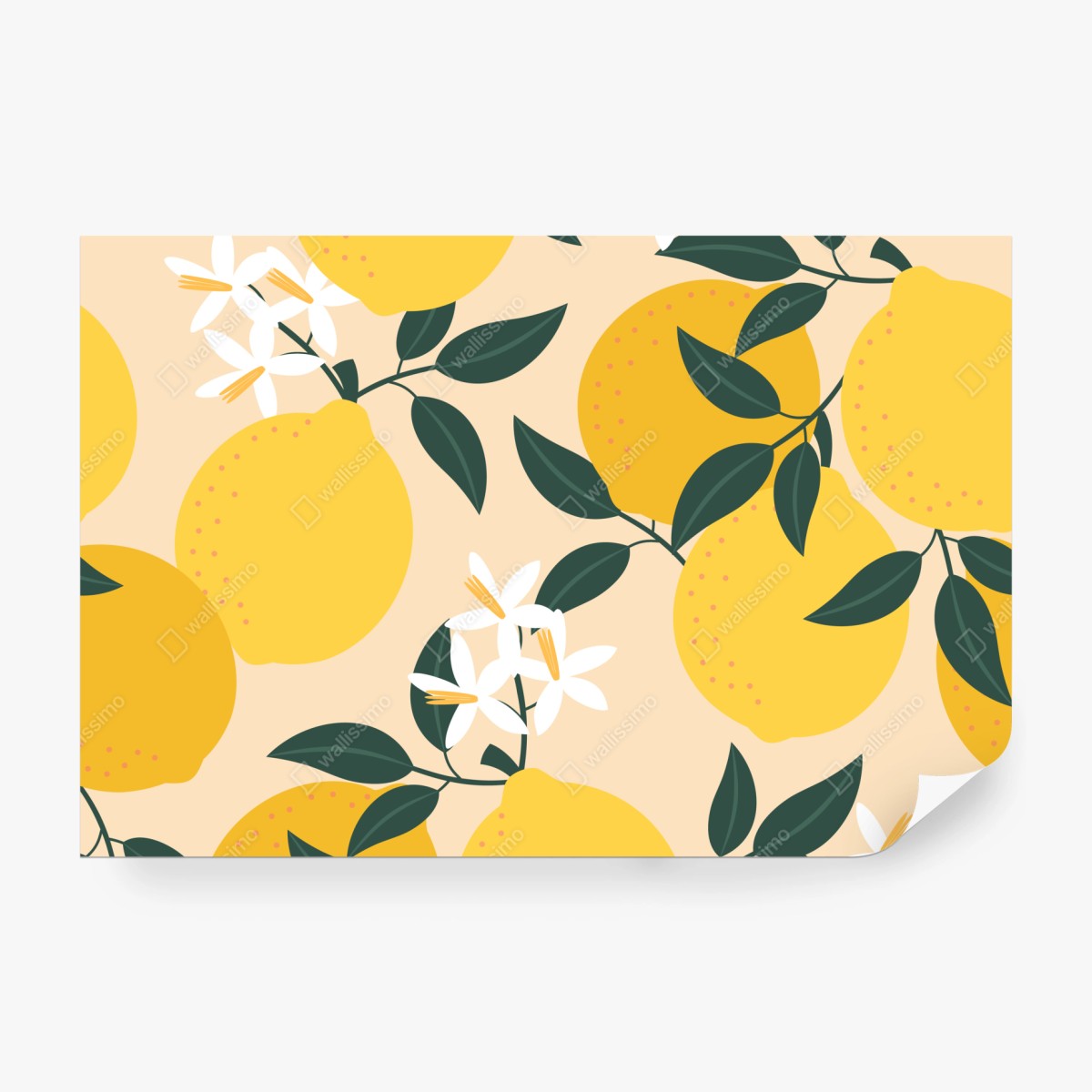 Fototapeta jasny wzór z cytrynami i kwiatami – Wallissimo® Fototapeta jasny wzór z cytrynami i kwiatami – Wallissimo®
