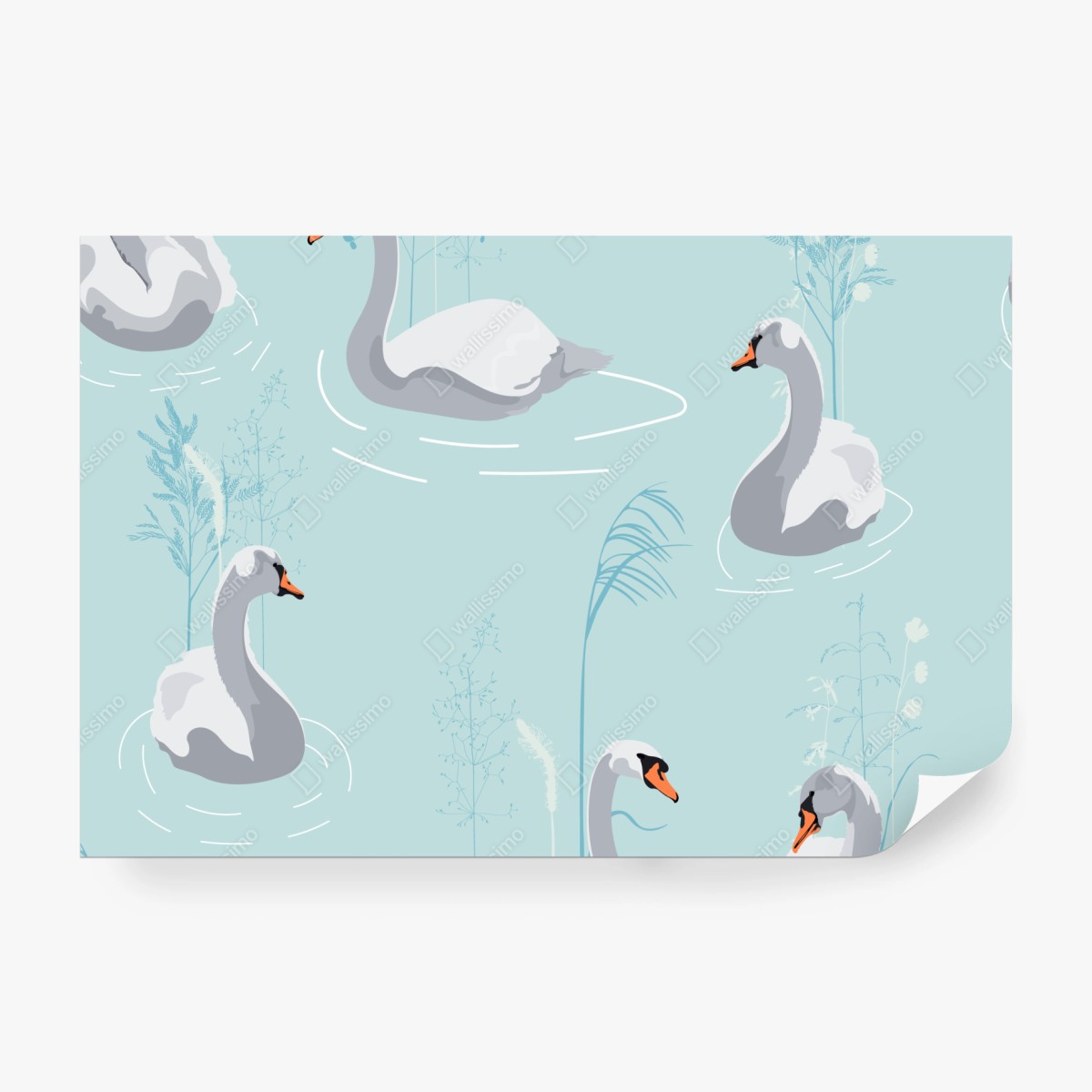 Fototapeta delikatne łabędzie na turkusowym stawie – Wallissimo® Fototapeta delikatne łabędzie na turkusowym stawie – Wallissimo®