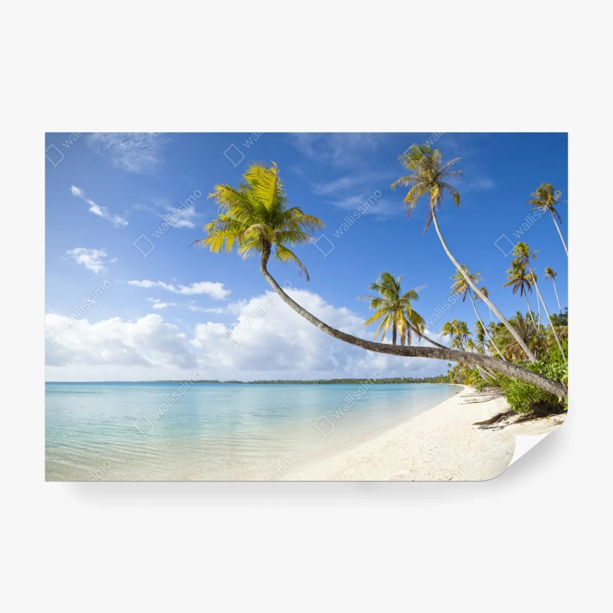 Fototapeta tropikalna turkusowa plaża z pochyloną palmą – Wallissimo® Fototapeta tropikalna turkusowa plaża z pochyloną palmą – Wallissimo®