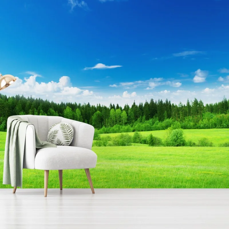 Fototapeta wiosenna łąka pod błękitnym niebem – Wallissimo® Fototapeta wiosenna łąka pod błękitnym niebem – Wallissimo®