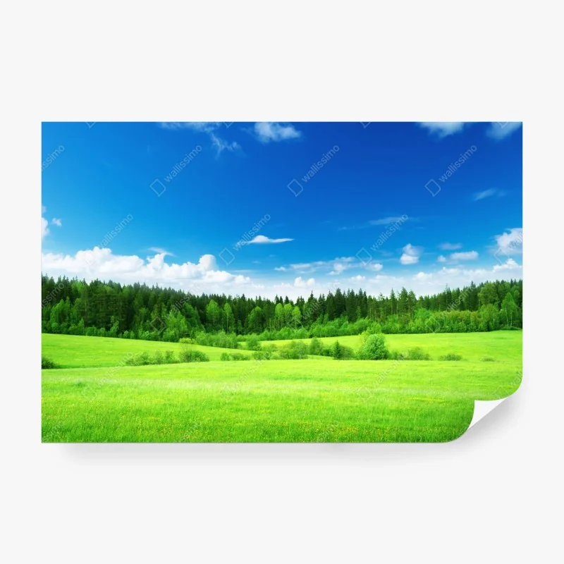 Fototapeta czarny marmur ze złotymi żyłami – Wallissimo®