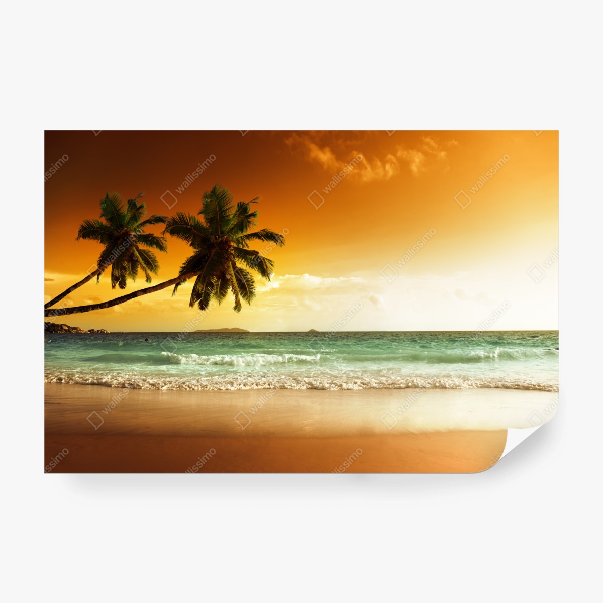 Fototapeta plaża przy zachodzie słońca na Karaibach z palmami – Wallissimo® Fototapeta plaża przy zachodzie słońca na Karaibach z palmami – Wallissimo®