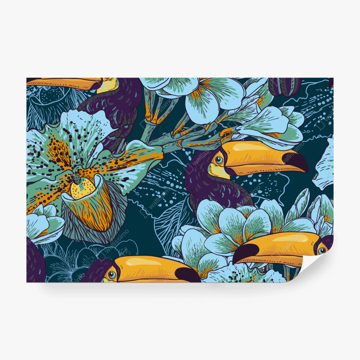 Fototapeta tropikalny wzór z tukaniami i kwiatami – Wallissimo® Fototapeta tropikalny wzór z tukaniami i kwiatami – Wallissimo®