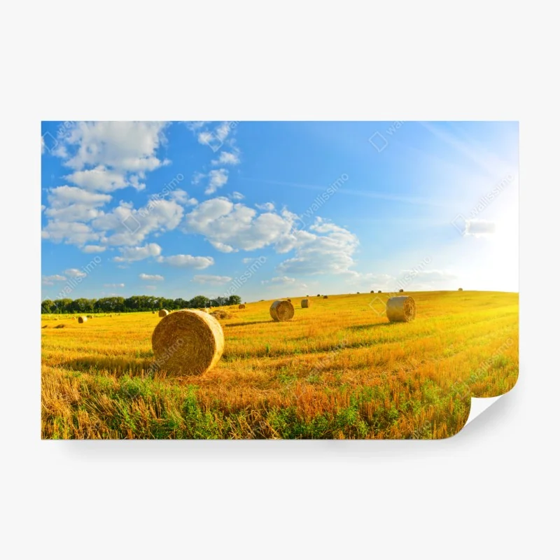 Fototapeta kolorowa ilustrowana mapa świata z zabytkami – Wallissimo®