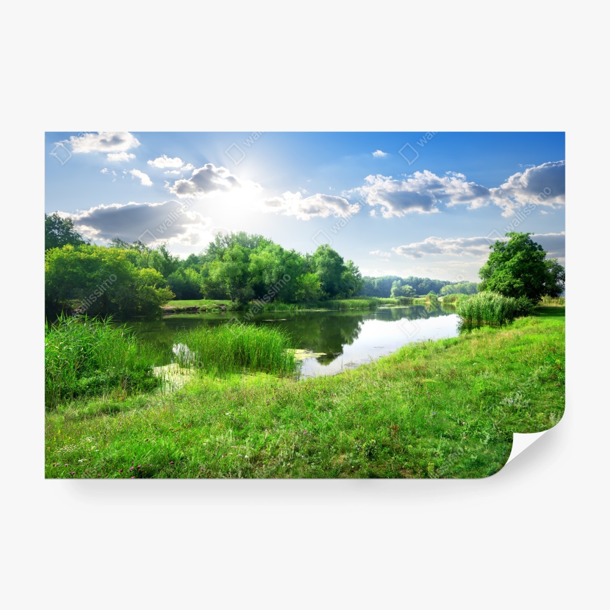 Fototapeta słoneczna łąka nad rzeką – Wallissimo® Fototapeta słoneczna łąka nad rzeką – Wallissimo®