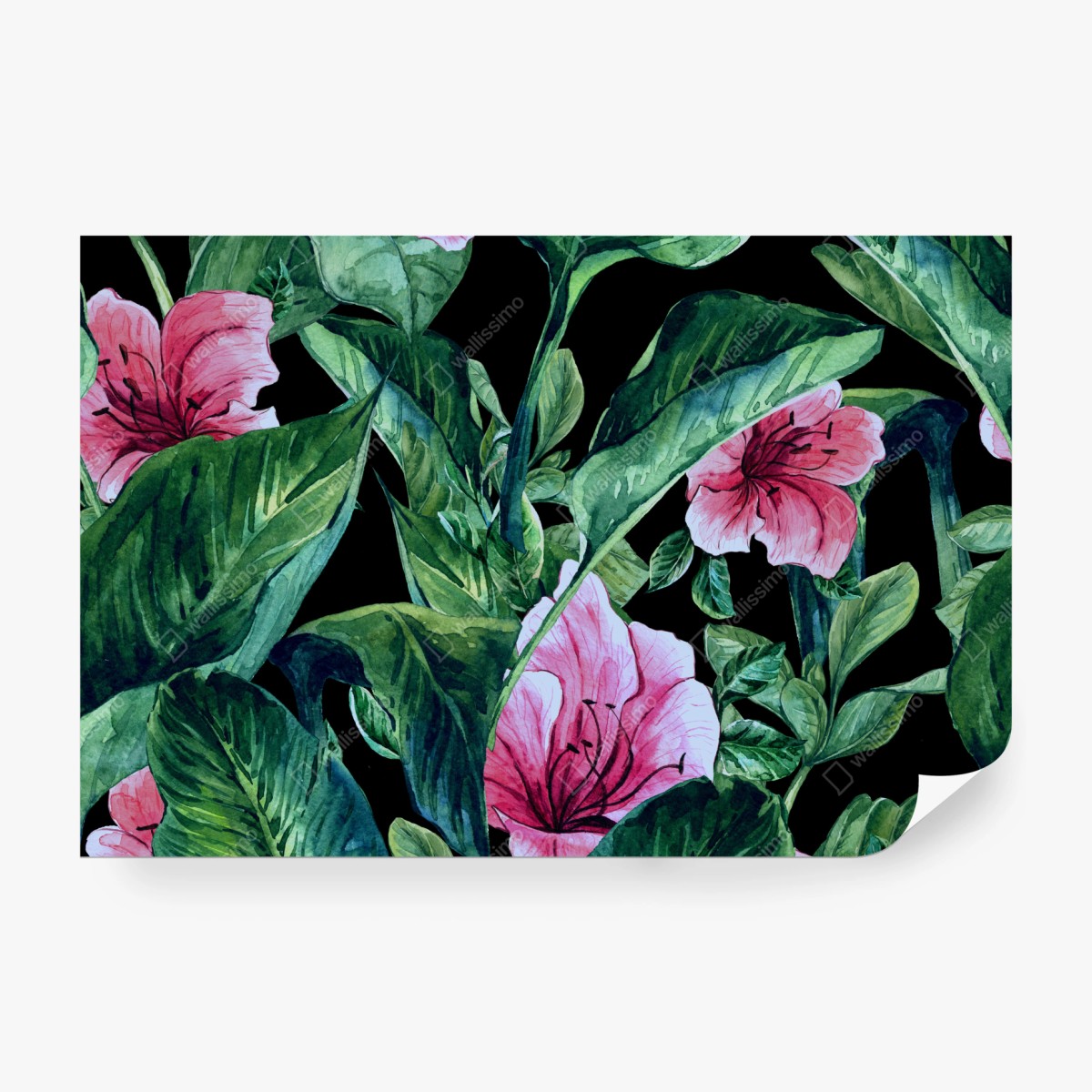 Fototapeta różowe akwarelowe kwiaty na czarnym tle – Wallissimo® Fototapeta różowe akwarelowe kwiaty na czarnym tle – Wallissimo®