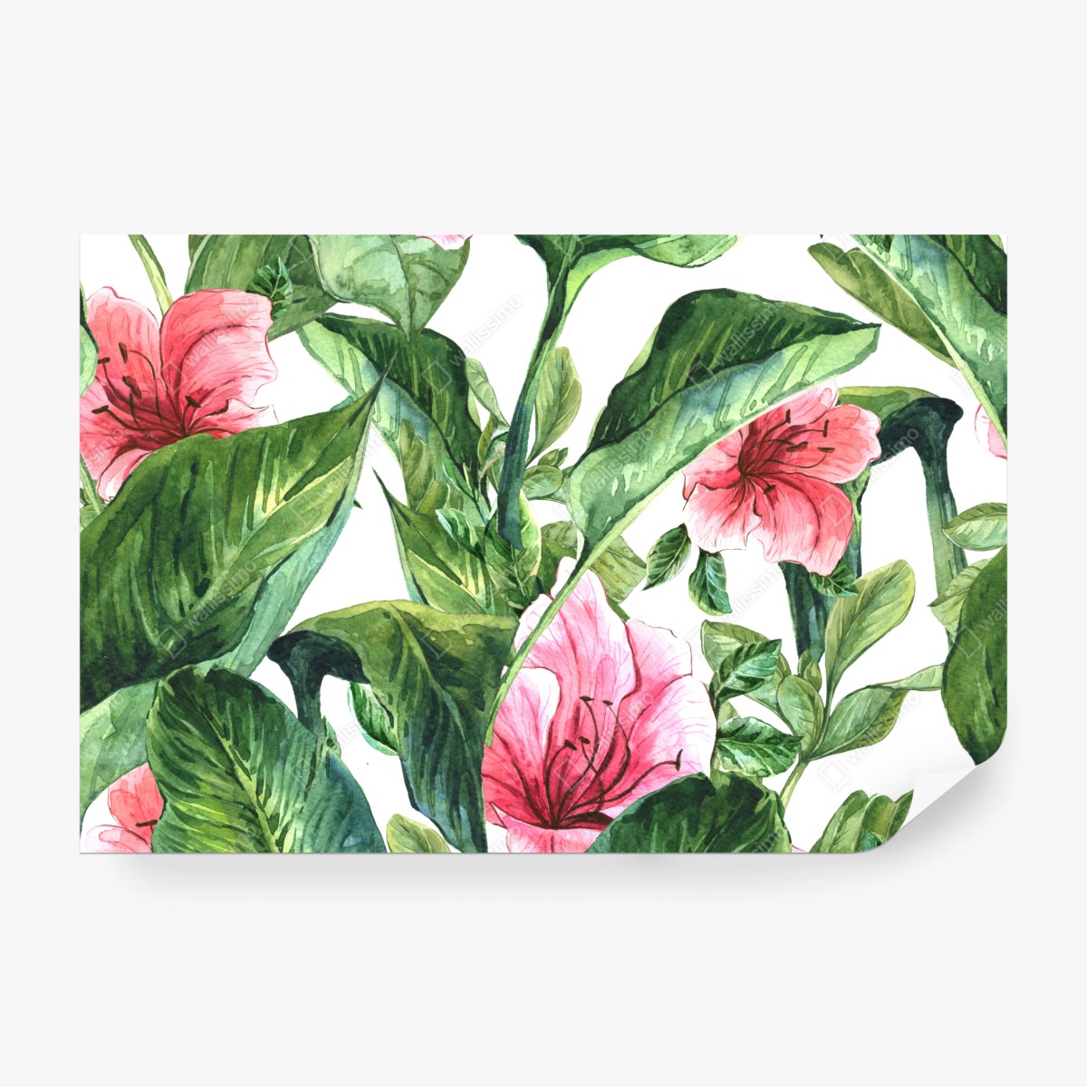 Fototapeta różowy akwarelowy motyw botaniczny – Wallissimo® Fototapeta różowy akwarelowy motyw botaniczny – Wallissimo®